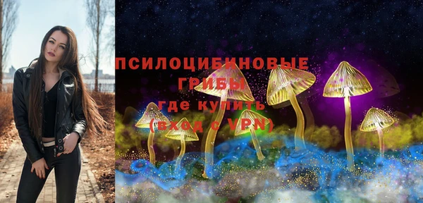 mix Горняк